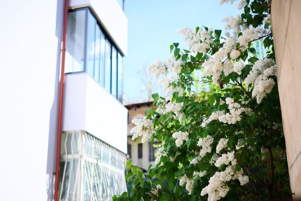 Central Old Town Oasis - Ap 6 Bucareste Exterior foto